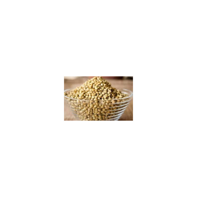Coriandre en graines Bio – 100 g
