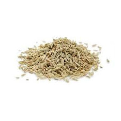 Fenouil en graines Bio – 100 g